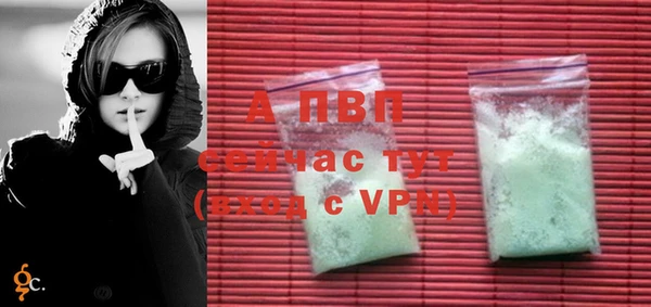 твердый Гусев