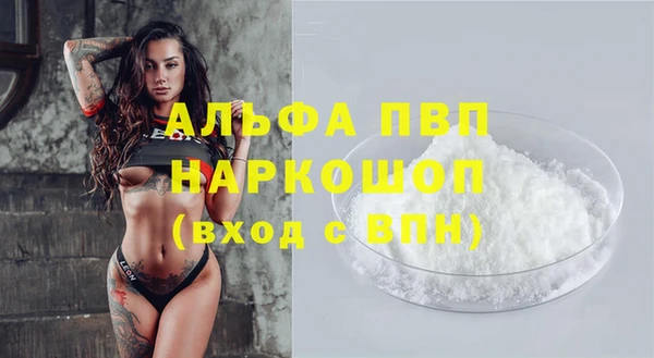 PSILOCYBIN Гусь-Хрустальный