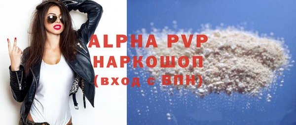 твердый Гусев