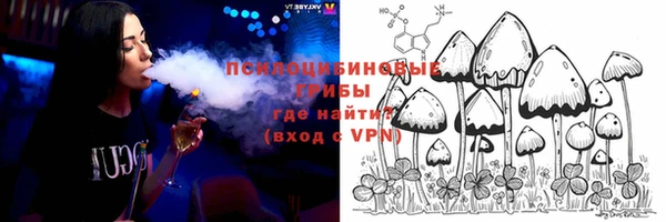 гидра Вязьма