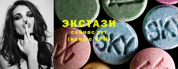 твердый Гусев