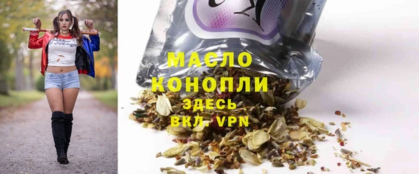 твердый Гусев
